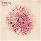 emarosa.bmp