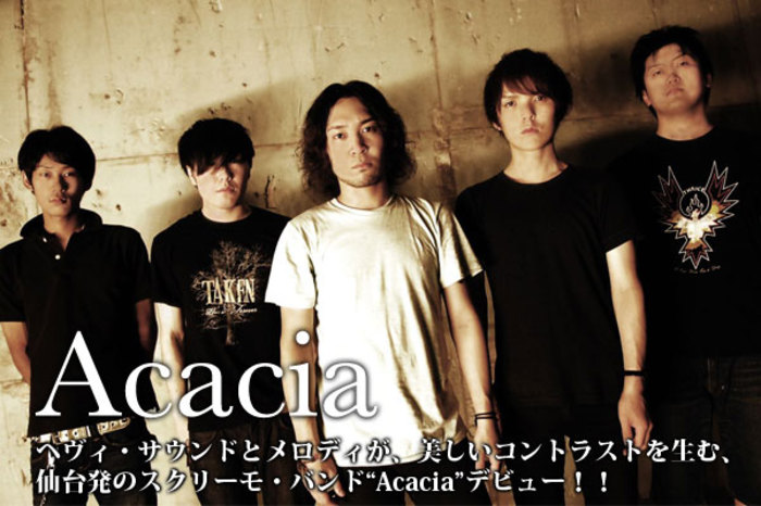 Acacia 激ロック インタビュー