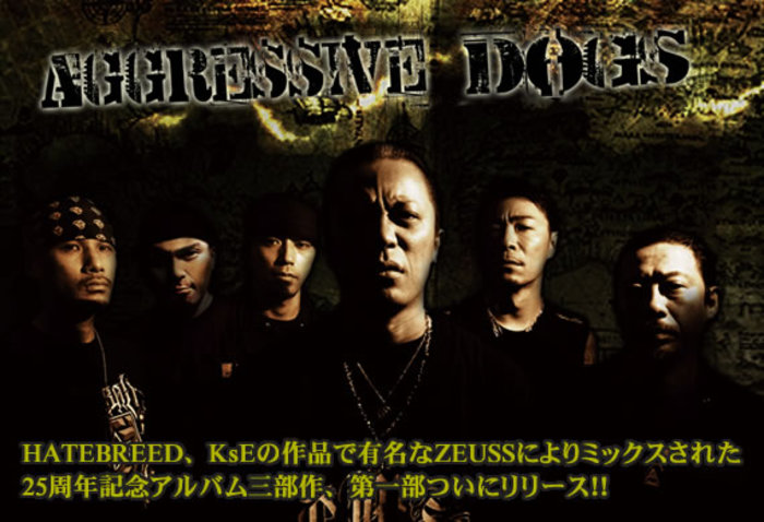 AGGRESSIVE DOGS | 激ロック インタビュー