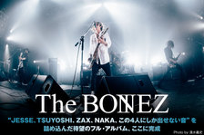 The BONEZ