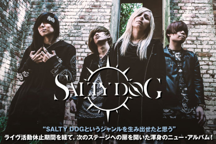 SALTY DOG グッズセット☆(サイン入り) サウシードッグ 直筆サインポストカード CDセット - メルカリ