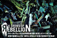 a crowd of rebellion