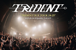 TRiDENT