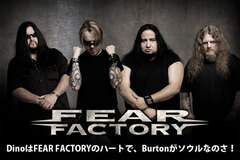 FEAR FACTORY のインタビュー＆動画メッセージをアップ！