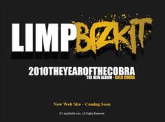 LIMP BIZKIT 新曲の一部を公開！