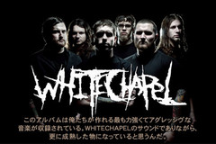 WHITECHAPELインタビューをアップしました！