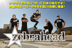 ZEBRAHEADインタビュー（MattyとBenの個人面談付）をアップしました！