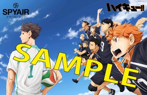 spyair_animate_poster.jpg