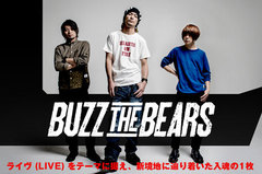 BUZZ THE BEARSのインタビュー＆動画メッセージを公開！主戦場であるライヴをテーマに据え、新境地に辿り着いた入魂の新作を明日リリース！Twitterにてプレゼント企画も！