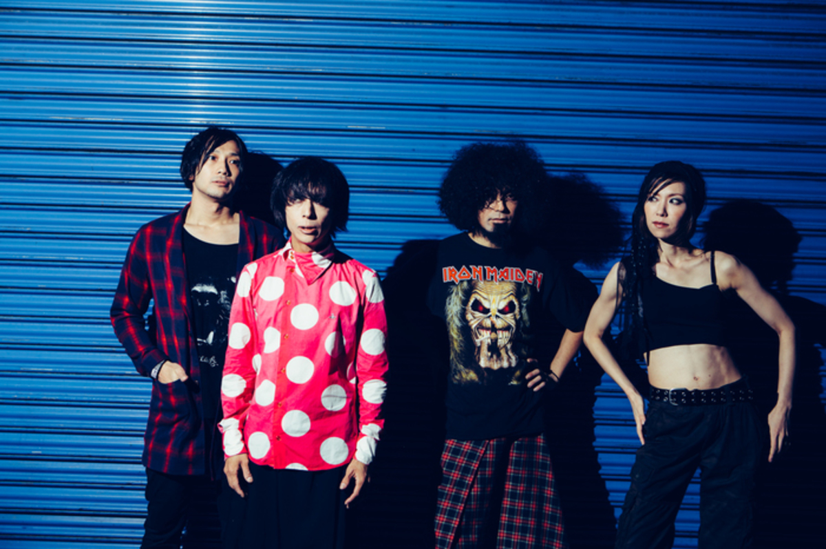 Amazon.co.jp: 未開封 バックドロップシンデレラ 3rd LIVE DVD