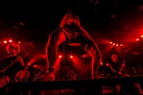 SHADOWS、3/8にシングル+ライヴDVD作品『Chain Reaction』リリース決定！