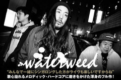 関西発ポスト・ハードコア・バンド、waterweedのインタビュー公開！より強固な3ピース・サウンドで、歌心溢れるメロディック・ハードコアに磨きをかけた渾身のニュー・アルバムをリリース！