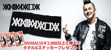 ANIMALIA（アニマリア）キャンペーン実施中！3,000円以上購入でタオル＆限定ステッカーをゲット！