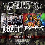 ROACH、5/31渋谷 RUBY ROOMにて主催イベント"MOSH PIT GIG"開催！対バンにAiliph Doepa決定！