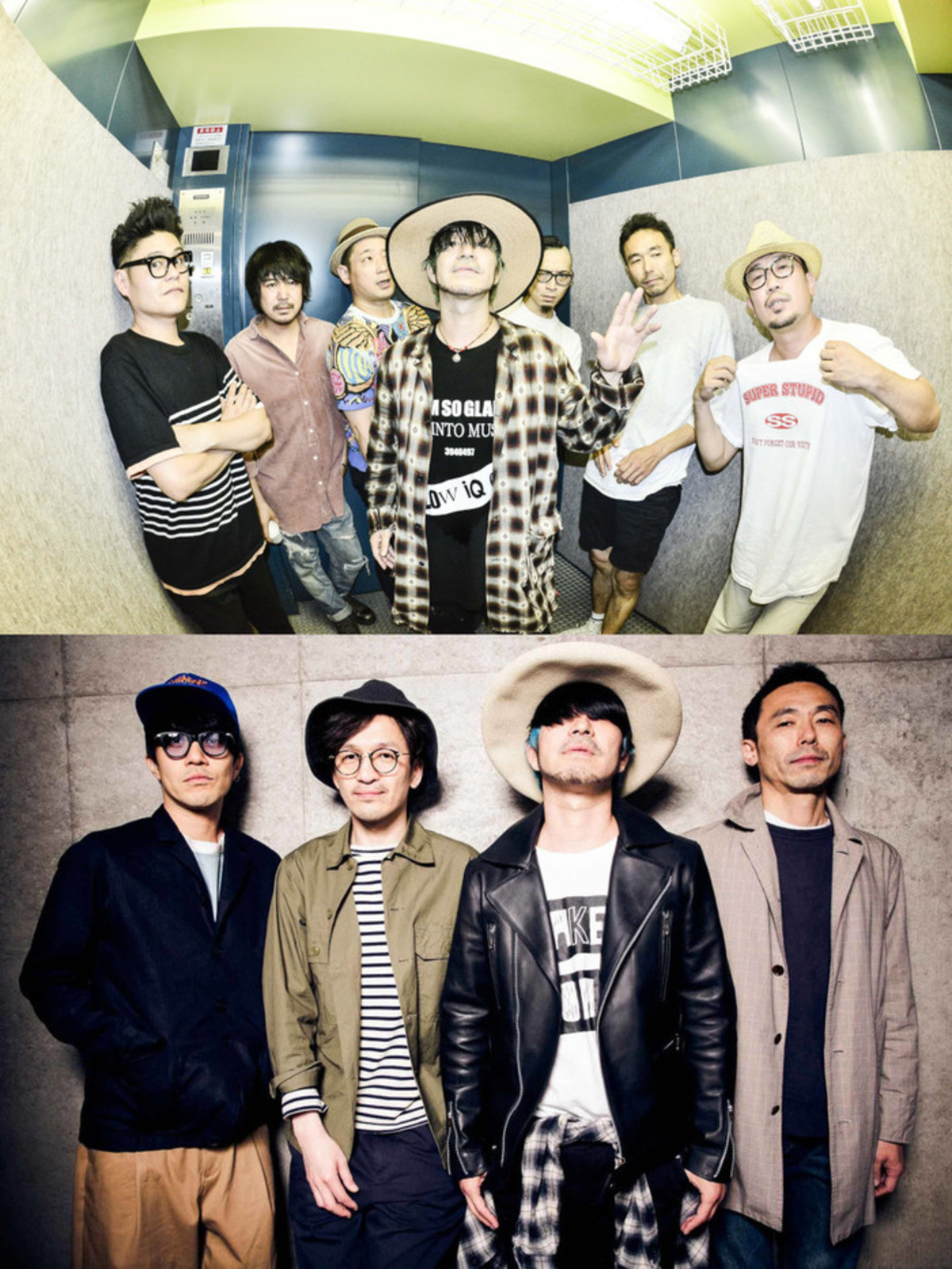 LOW IQ 01、11/30新木場STUDIO COASTにて開催の