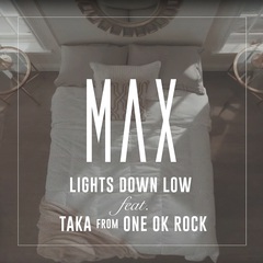 max_lights_down_low_taka.jpg