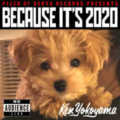 ken_yokoyama_because_its_2020.jpg