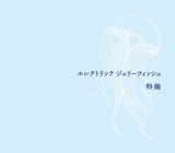 特撮、5年3ヶ月ぶりニュー・アルバム『エレクトリック ジェリーフィッシュ』映像特典を一部公開！著名人からのお祝いコメントも！