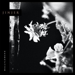 Jinjer-Wallflowers-album-cover.jpg