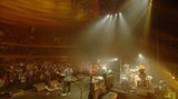 MONOEYES、昨年11月に開催された日本武道館公演より「Bygone」、「My Instant Song」のライヴ映像公開！