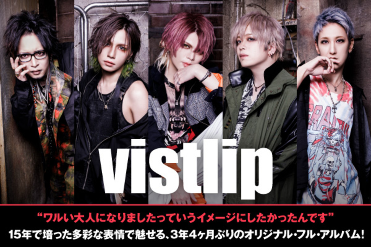 今日の超目玉】 vistlip ブランケット jsu.osubb.ro