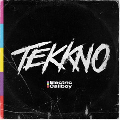 TEKKNO-Electric-Callboy.jpg