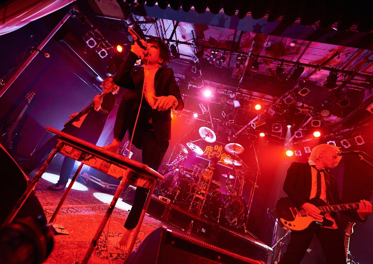 M*E様 メリー History of メリー 実演娯楽全集　Merry メリー、約1,000分に及ぶライヴBlu-ray『メリー 20th Anniversary