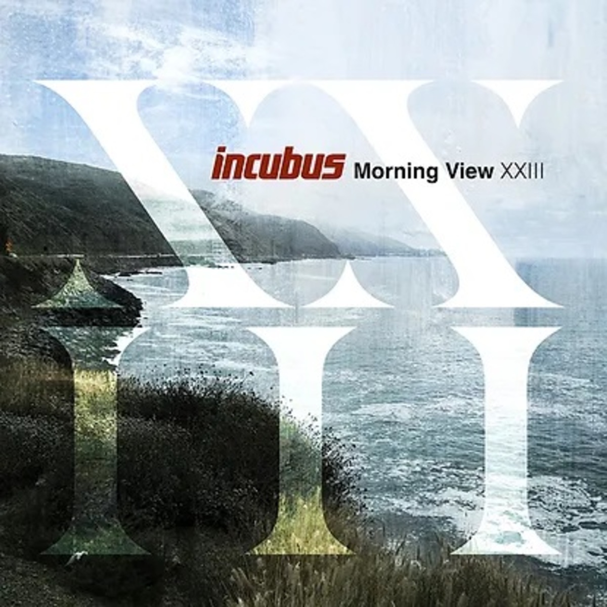 INCUBUS、Ben Kenney（Ba）の脱退＆Nicole Row（ex-PANIC! AT THE  DISCO）の正式加入を発表。再録アルバム『Morning View XXIII』5月リリース！ | 激ロック ニュース