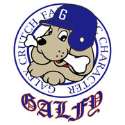 GALFY_5_3.jpg