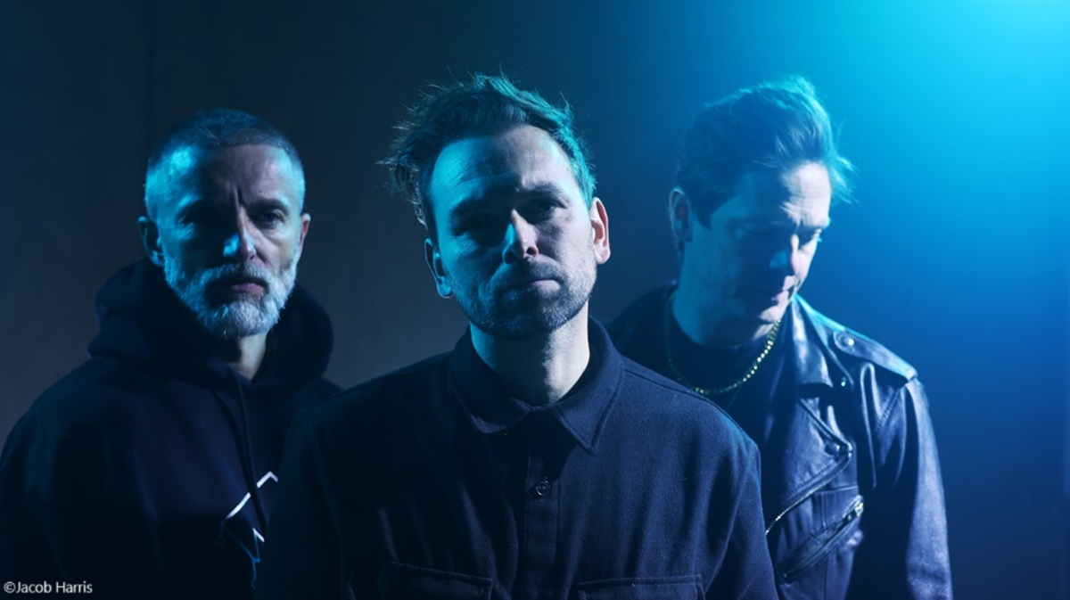 Vamprose Management Agency