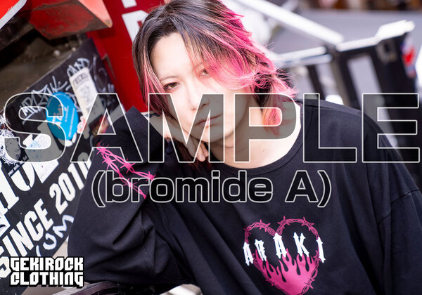 araki_vol2_bromideA_sample.jpg
