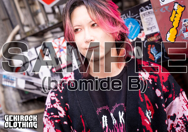 araki_vol2_bromideB_sample.jpg