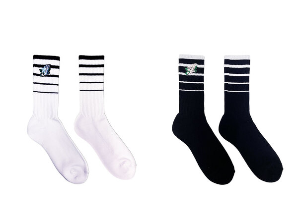 fami_sox__item_news.jpg