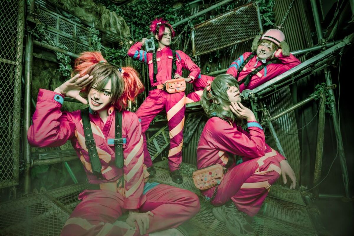 【専用】BabyKingdom DVD セット BabyKingdom、