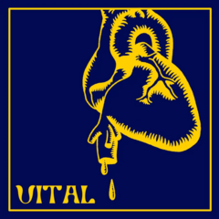 vital.png