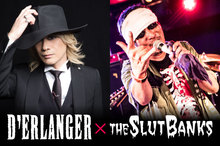 D'ERLANGER×THE SLUT BANKS サイン色紙