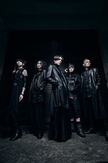 lynch. クリアファイル＋メンバー全員直筆サイン色紙