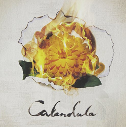 Calendula