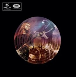 DIZZY MIZZ LIZZY
