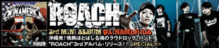 ROACH 『OKINAMERICA』特集！!